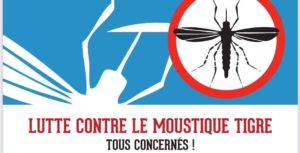 moustique tigre
