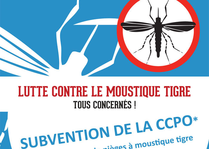 moustique tigre