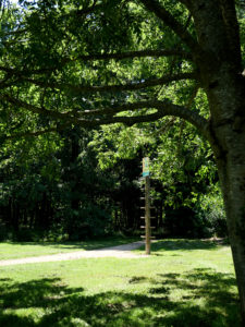 parcours de santé