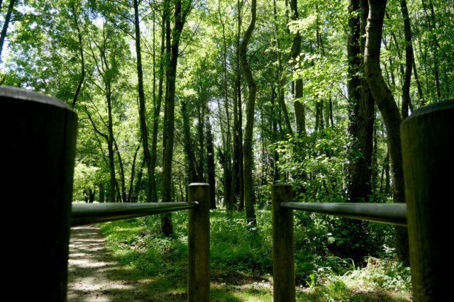 parcours de santé